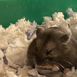 Meet your Posher, Bri